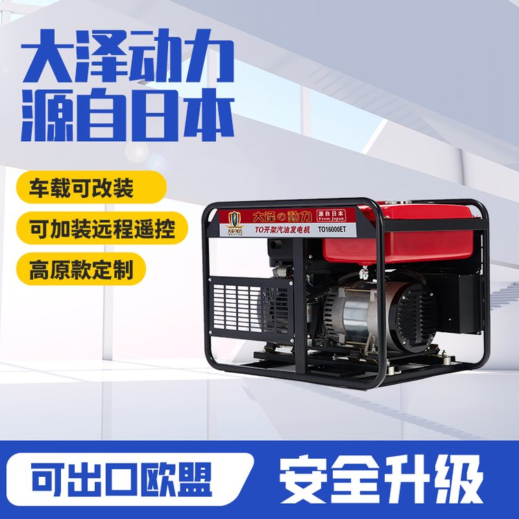大泽动力10kw小型汽油发电机